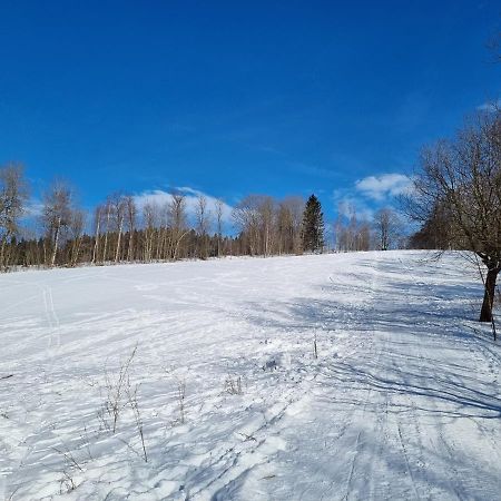 Apartman Utulno: Relax, Sauna A Vyberova Kava Horni Marsov Luaran gambar